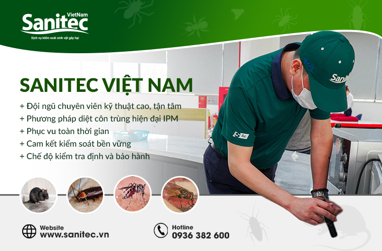 Dịch vụ diệt côn trùng cho tòa nhà, văn phòng